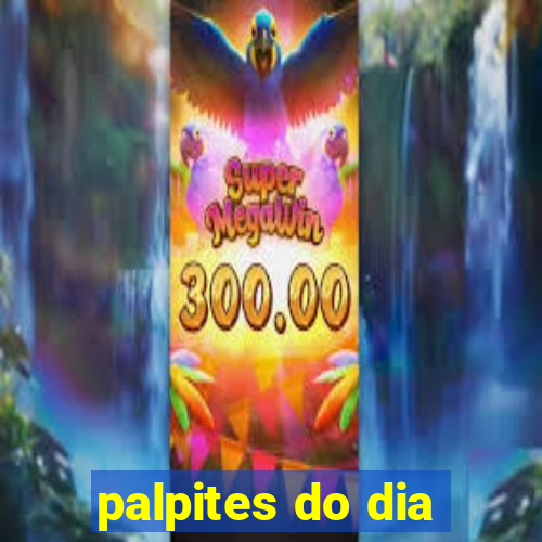 palpites do dia